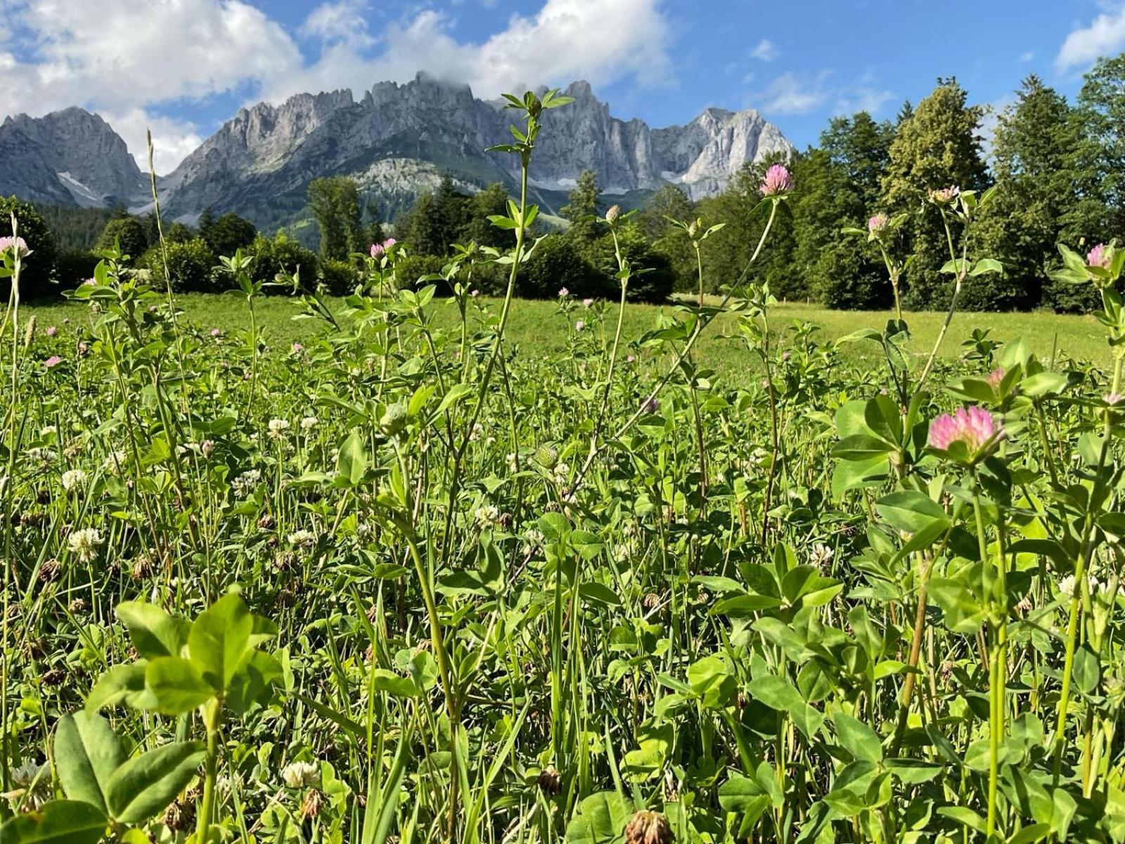 Kitz Deluxe Suite 1 & 2 Im Zentrum Mit Eigenem Spa & Parken By Belle-Stay Kitzbühel Esterno foto